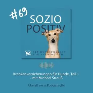 Soziopositiv Folge 69 mit Michael Strauß